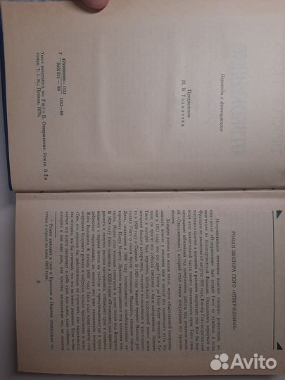 Виктор Гюго 