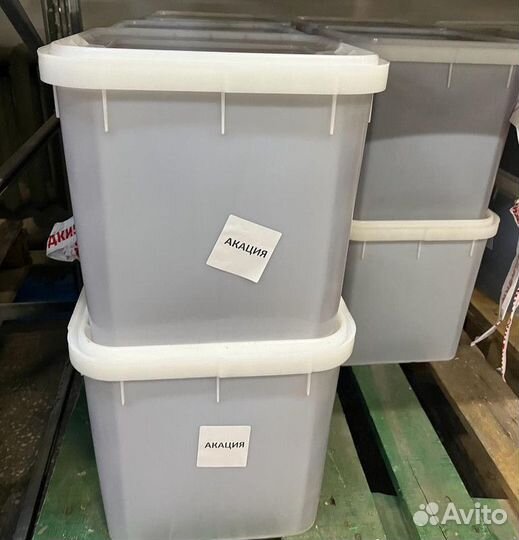 Акациевый свежий опт