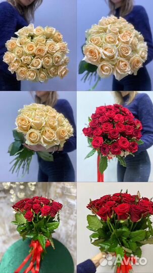 Розы России оптом от производителя