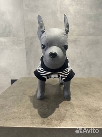 Одежда для животных