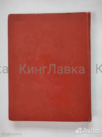 Роза свободы
