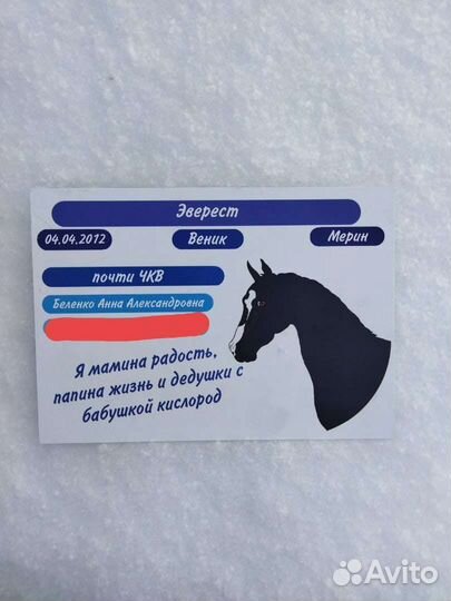 Таблички на денник для лошади