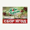 Ростовская область, Новочеркасск, переулок Галины Петровой, 30