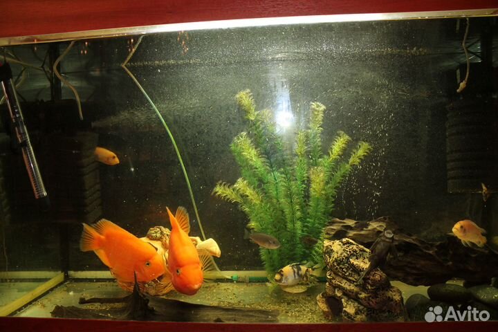 Продам аквариум