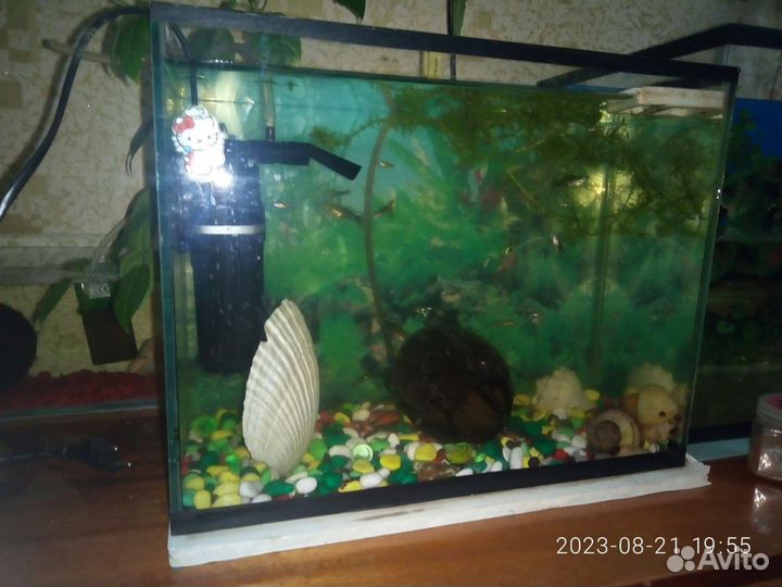 Аквариум 20 литров