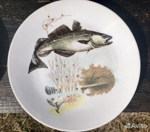 Тарелки гдр kahla