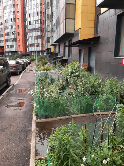 Квартира-студия, 31,3 м², 6/10 эт.