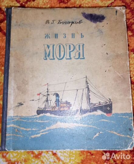 Жизнь моря Богоров