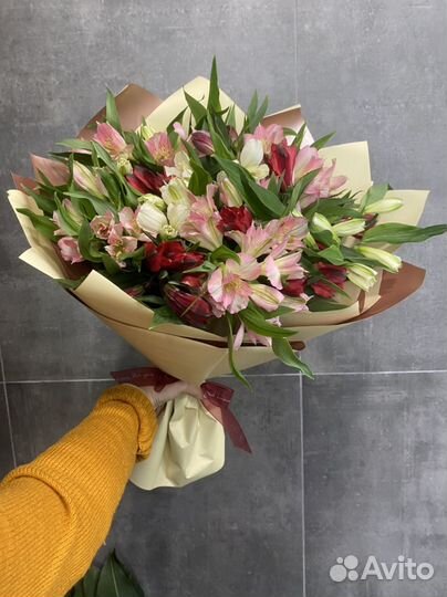 Монобукет из альстромерии