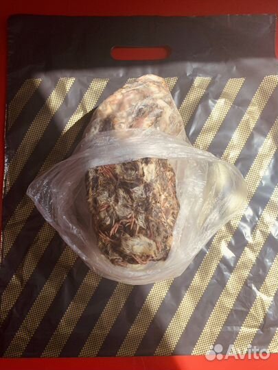 Перепела суточные на корм