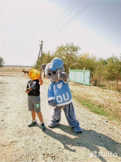 Мишка тедди на праздник