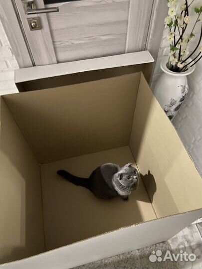 Коробка для шаров или подарка