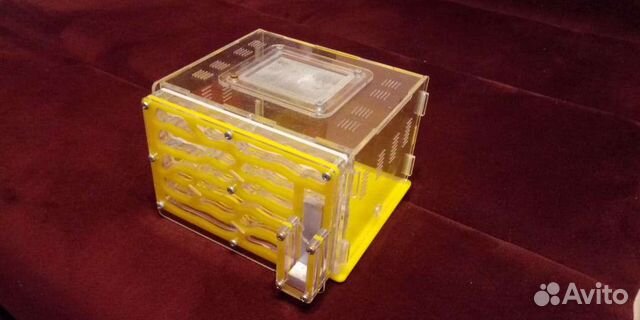 Муравьиная ферма