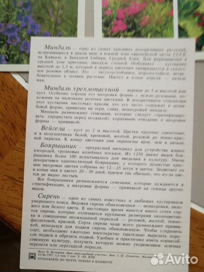 Набор открыток из СССР растения