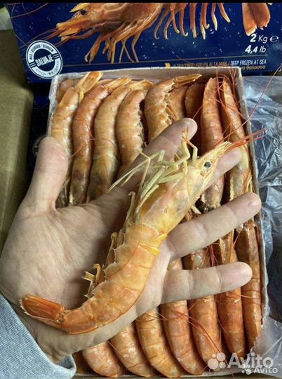 Рыба Лангустины дикие L1 самые крупные xxxl