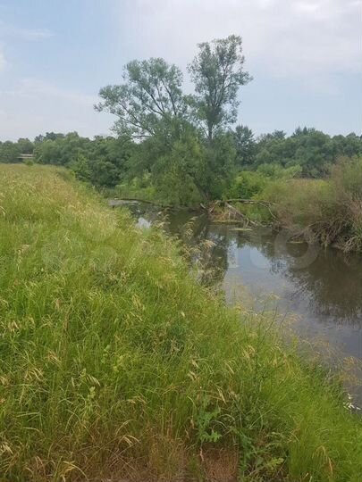 Участок 50 сот. (ИЖС)