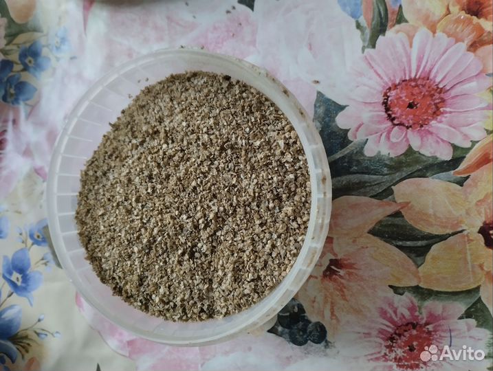 Дафния для рыб корм