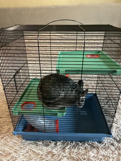 Клетки новые.Разные размеры