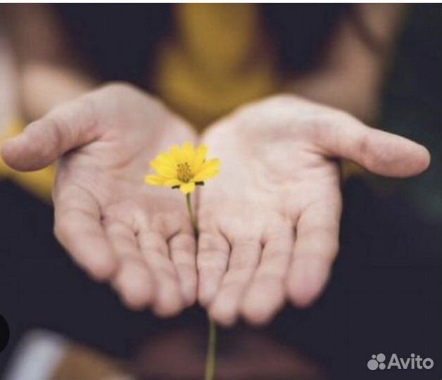 Телесный практик, психолог