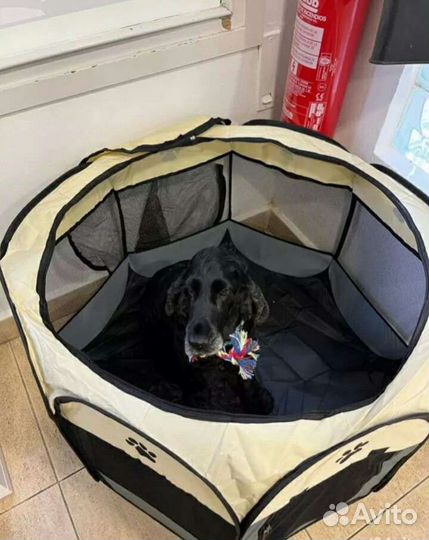 Вольер для собак и кошек