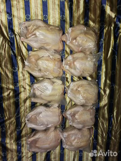 Домашние куры бройлеры