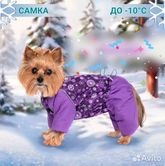 Комбинезоны для собак(девочка), шлейка+поводок