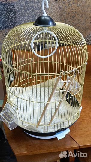 Клетки для птиц и попугаи