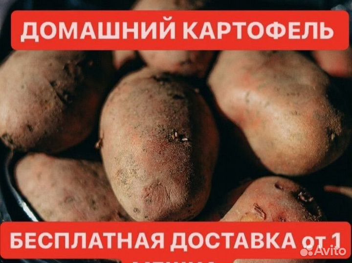 Едовой картофель