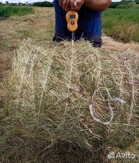 Сено в рулонах