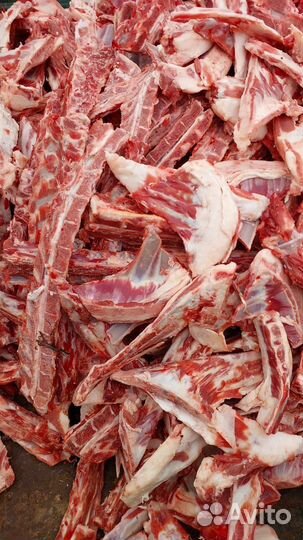 Мясо и кости для собак