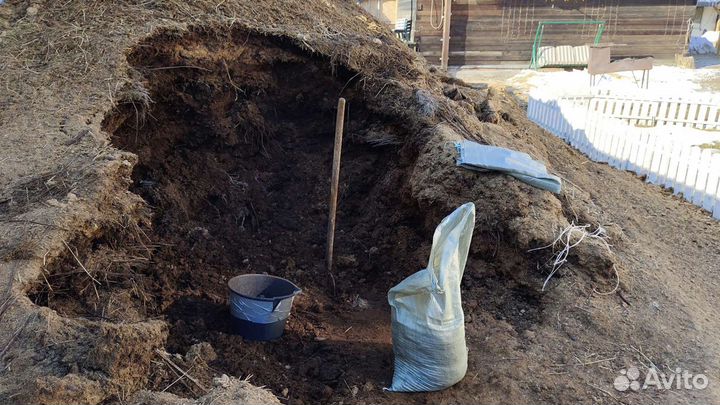 Конский навоз