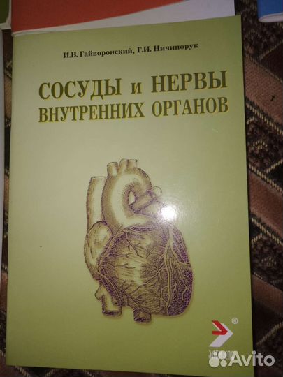 Анатомия
