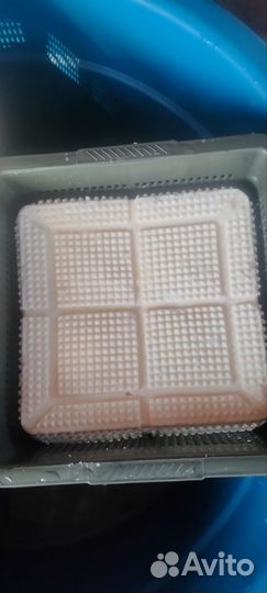 Сыр домашний брынза