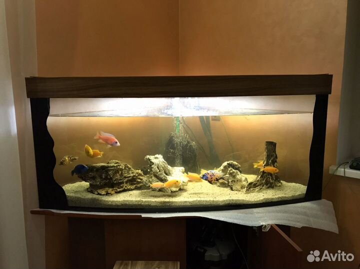 Угловой большой аквариум
