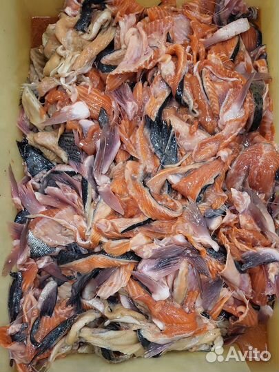 Рыба Головы Мясо для животных. Рыбный фарш