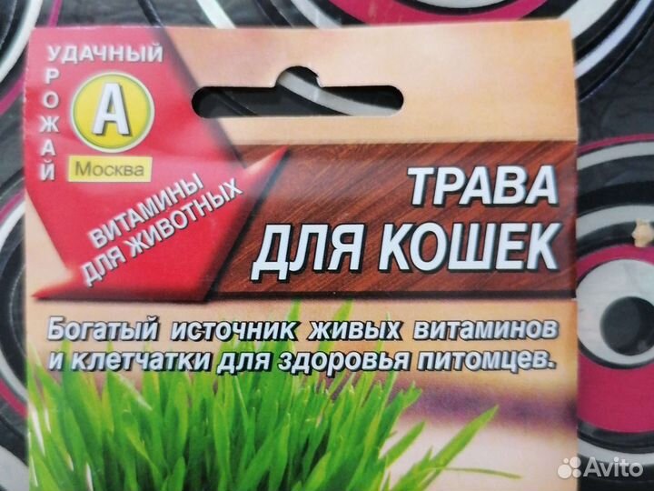 Травка для кошек