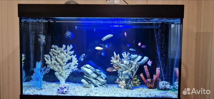 Аквариум с тумбой