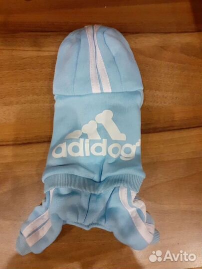 Новые костюмчики для маленьких собак