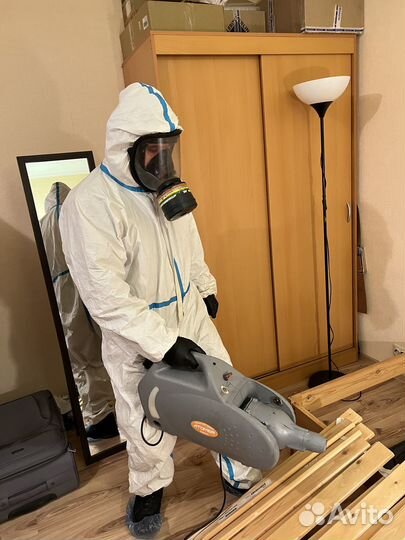 Уничтожение клопов, тараканов. Дезинфекция