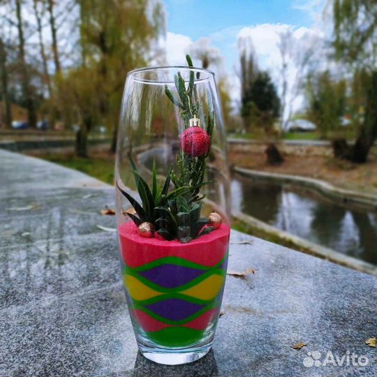 Флорариум из Суккулентов