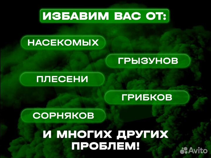 Дезинфекция. Дезинсекция. Уничтожение вредителей