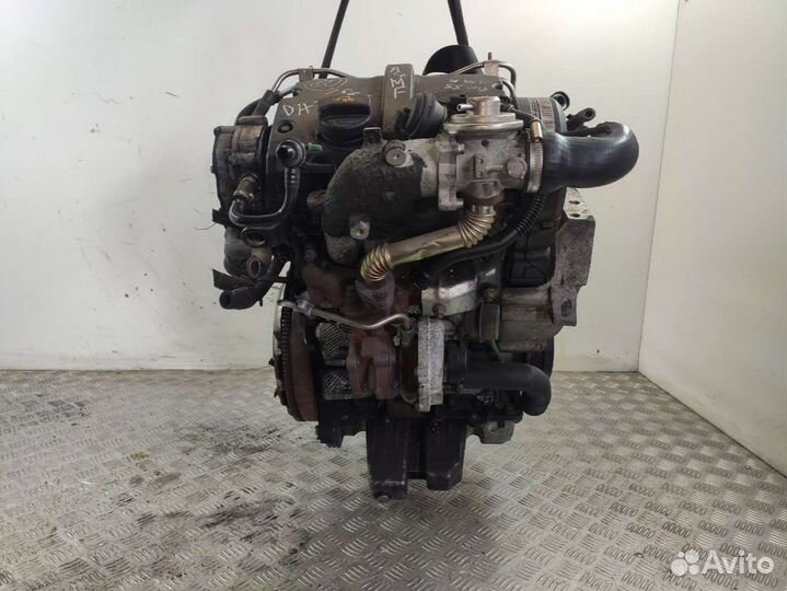 Двигатель Volkswagen Polo 4 (2001 - 2009) 1.4 AMF