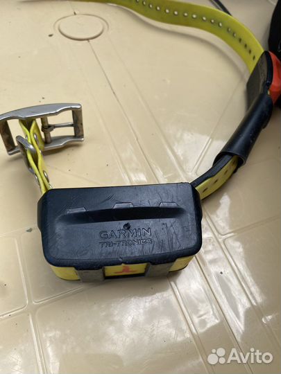 Ошейник garmin t5