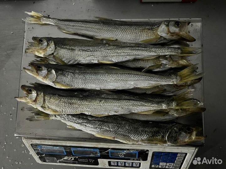 Корюшка вяленая крупная (Сахалин)