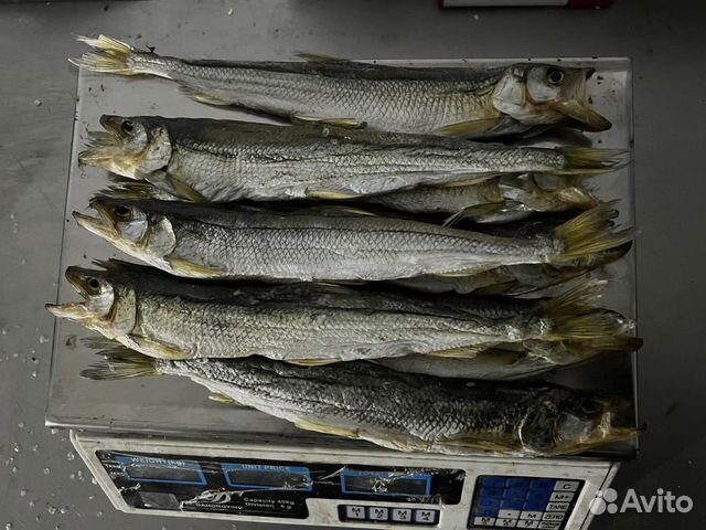 Корюшка вяленая крупная (Сахалин)