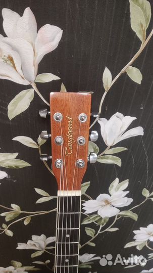 Акустическая гитара