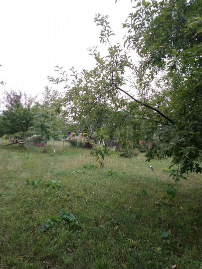 Дача 46 м² на участке 27 сот.