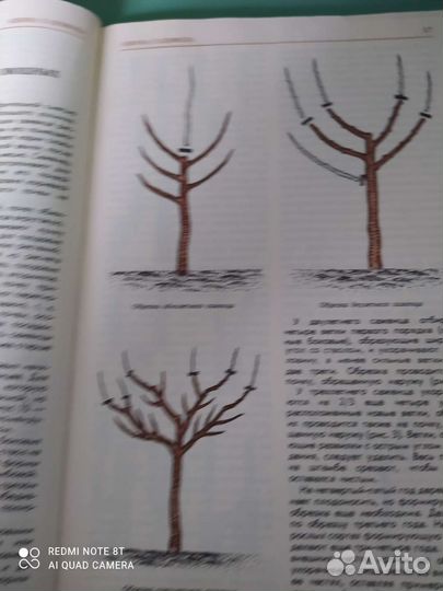 Справочник для садоводов 