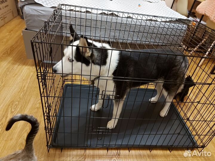 Клетка для собак