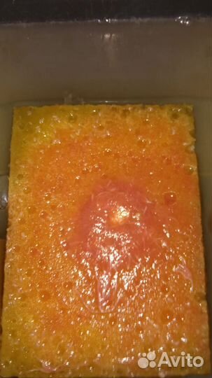 Израильский Трубочник Изя